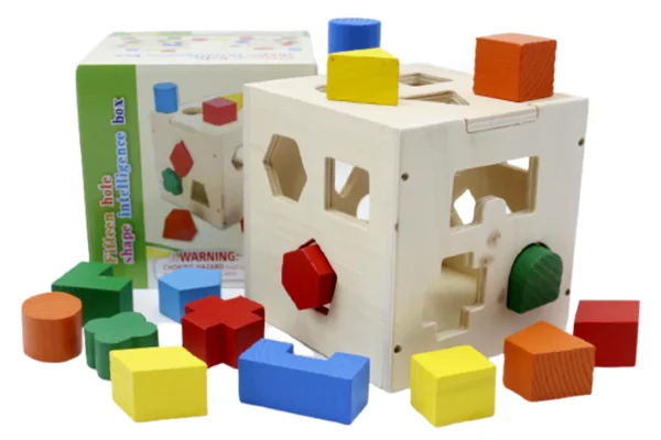 FIFTEEN HOLE SHAPE INTELLIGENCE BOX