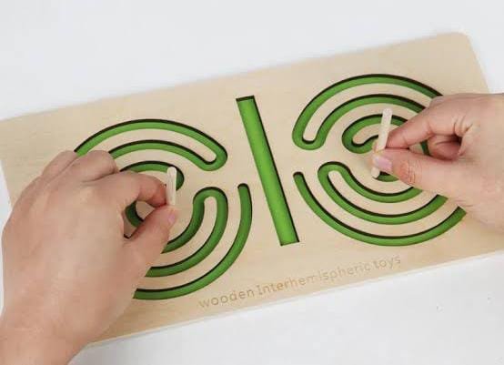 WOODEN INTERHEMISPHEREIC TOY